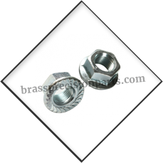 Flange Nuts Serrated